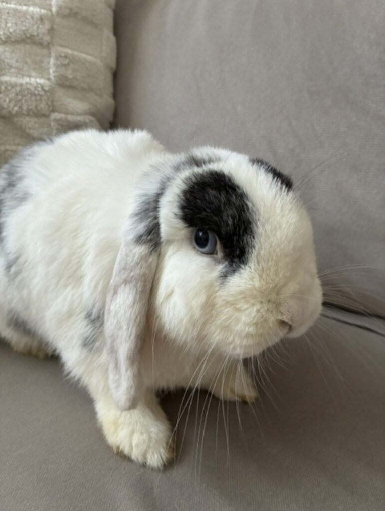 Winnie